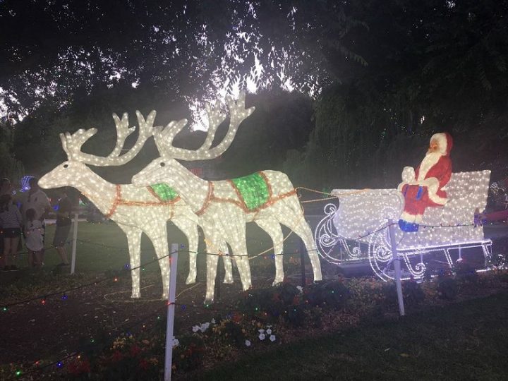 LED Christmas motif reindeer lights