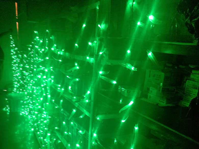 3x2m green willow led curtain lights